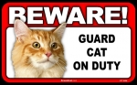 BEWARE Guard Cat on Duty Sign - Orange Tabby Cat - FREE Shipping