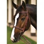 Henri De Rivel Leather Overlay Snaffle Bridle w/ Laced Reins
