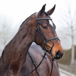 Horze Constance Bridle with Fancy Stitching
