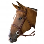 Kincade Padded Square Raised Bridle with Reins