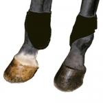Neoprene Lined Fetlock Boots