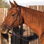 Nurtural Horse Elegant Leather Western Bitless Bridle