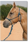 Pro Choice Rope Halter with 10' Lead