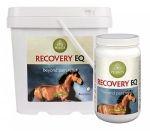 RECOVERY EQ