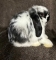 Mini Plush Lop Bunny- Broken Black