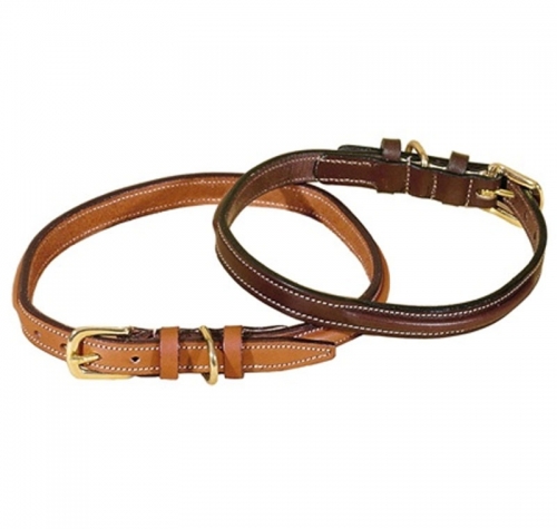 bridle leather dog collar with nameplate