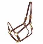 Tory Leather Arabian Halter with Rolled Nose and Throat